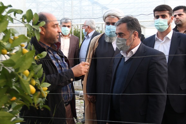 استاندار مازندران از کانون شهيد «علي گرائيلي» قائمشهر بازديد کرد/تاکيد نسبت به توليد محصولات کشاورزي دانش‌بنيان
